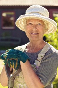 Medicare Insurance Plans Medicare Insurance Plans